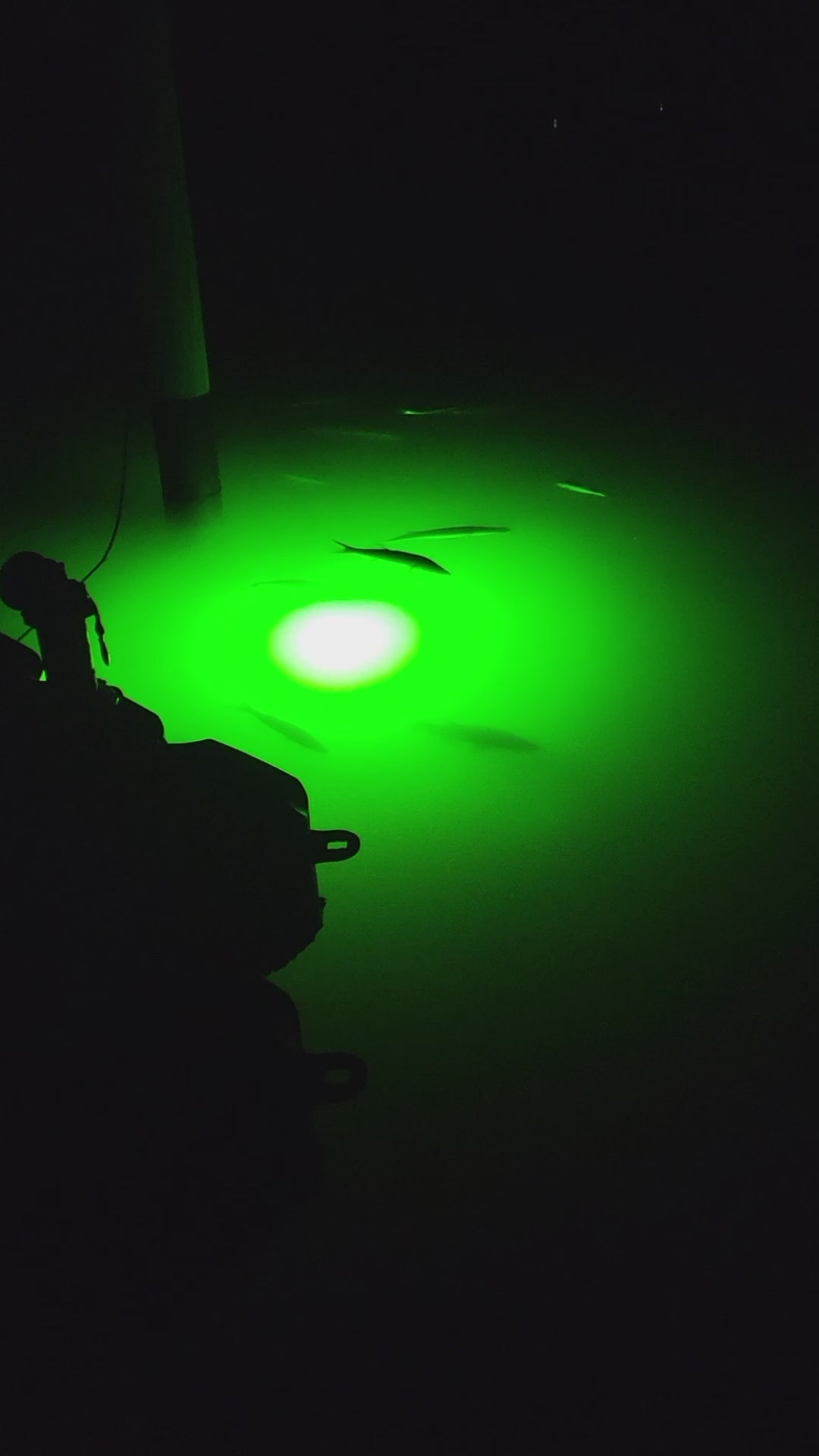 Power 400 Watt Underwater Dock Light - Single Bulb