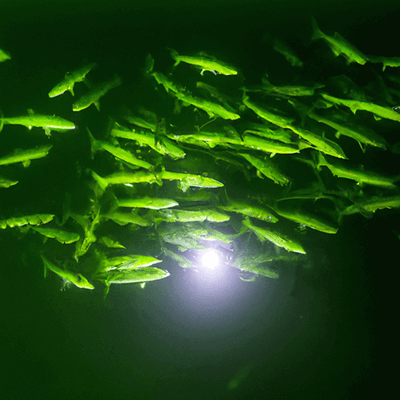 Top Marine Supply