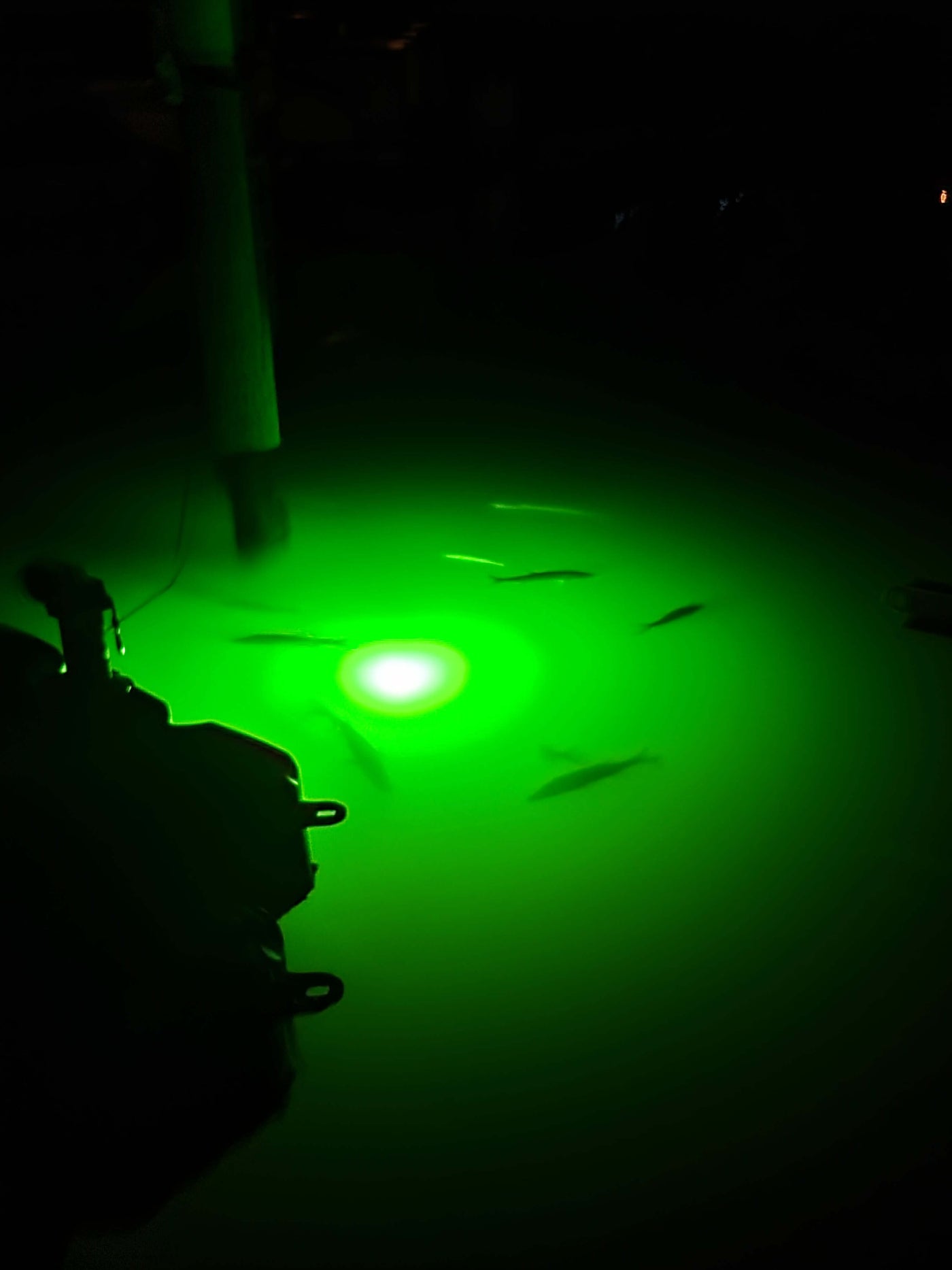 Icon 175 Watt Underwater Dock Light - Dual Bulb Dual Bulb 175 Watt Underwater Dock Light. Underwater dock lights attract marine life and provide an aquarium like experience at your dock. Small fish are attracted to the illuminated marine life and this att