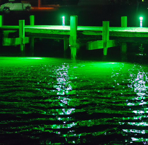 https://www.topmarinesupply.com/cdn/shop/products/DALL_E2023-03-1712.37.23-boatdocknightscenegreenunderwaterlightsshiningupatthedock_1400x.png?v=1681234110